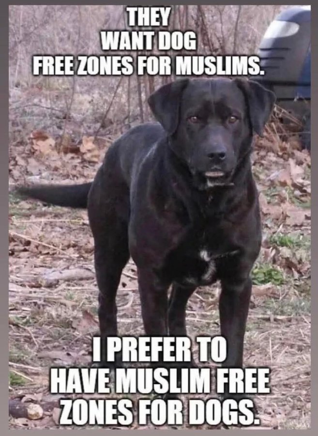 Trumplicans2024.com tweet media