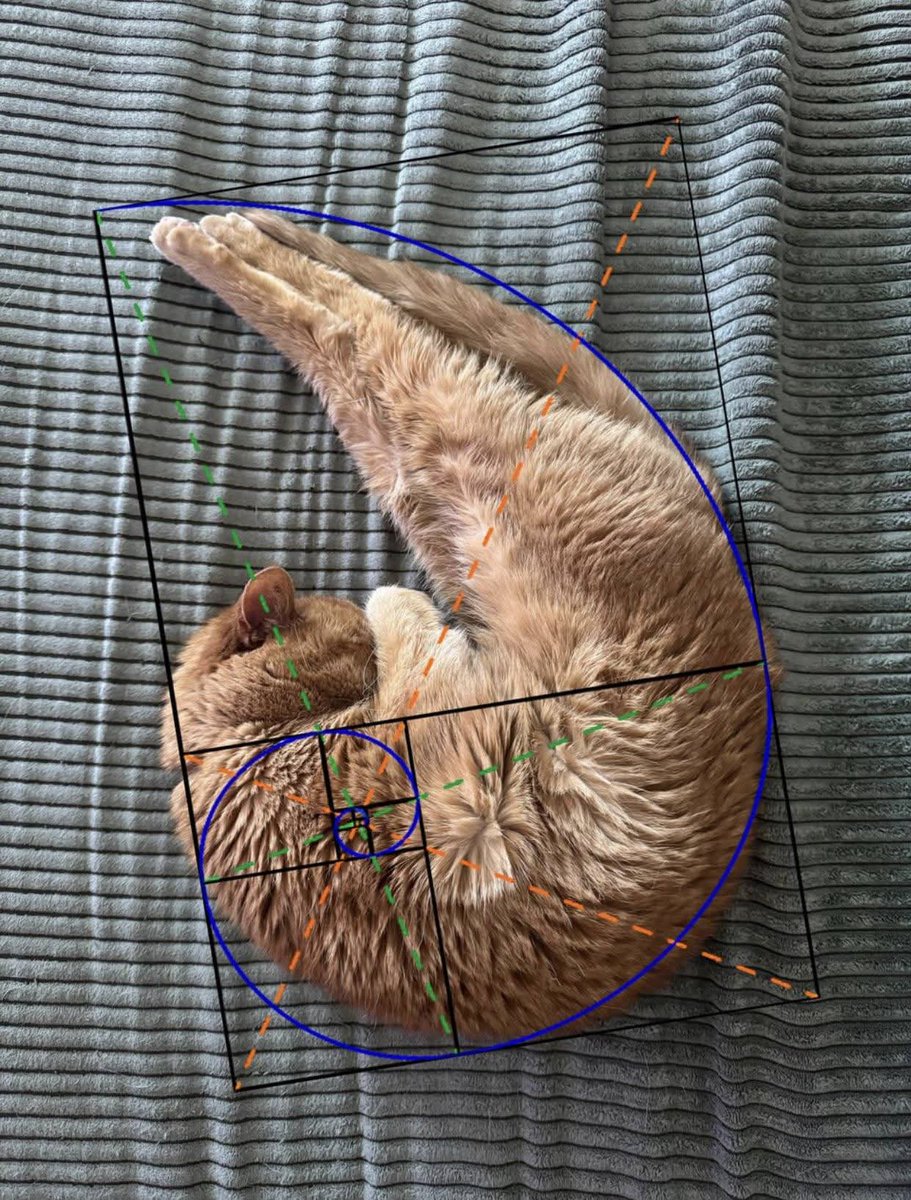 ShitpostGateway (@shitpostgate) on Twitter photo 