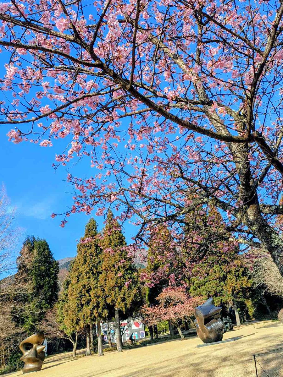 彫刻の森美術館 tweet media