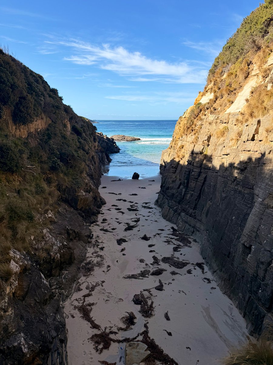 MopGarden tweet media