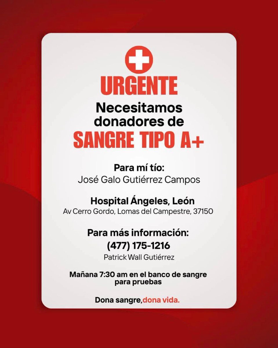 Iguanomayor tweet media