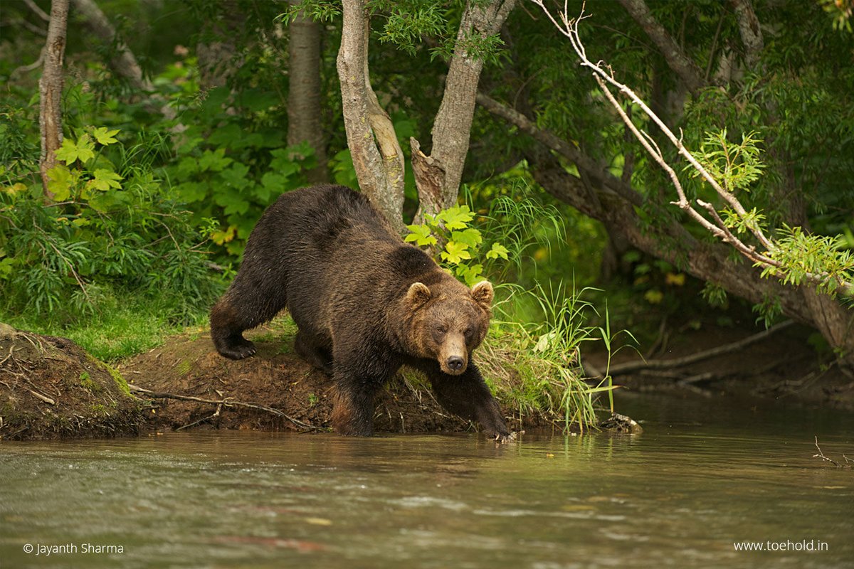 Jayanth Sharma tweet media