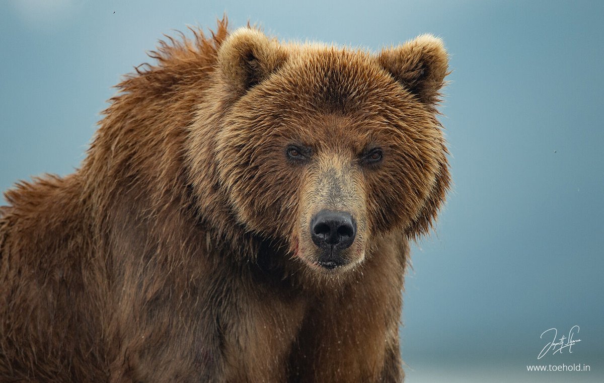 Jayanth Sharma tweet media