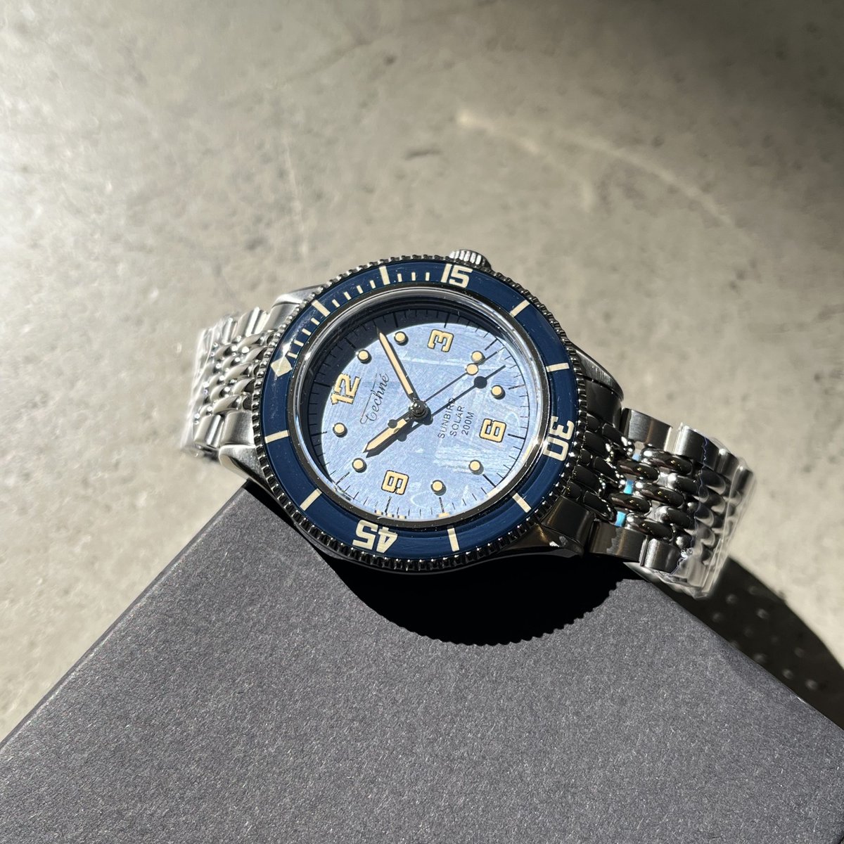 2月最終日、、 とは思えないほど暖かいですね😽🫶 少しずつ、春の気配