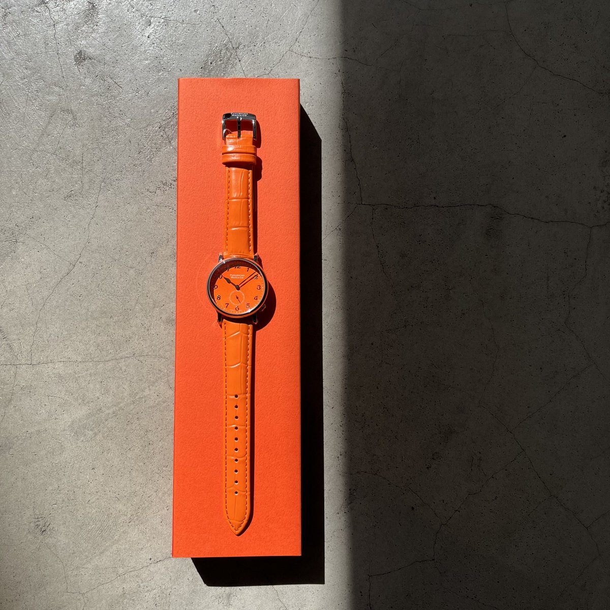 2月最終日、、 とは思えないほど暖かいですね😽🫶 少しずつ、春の気配