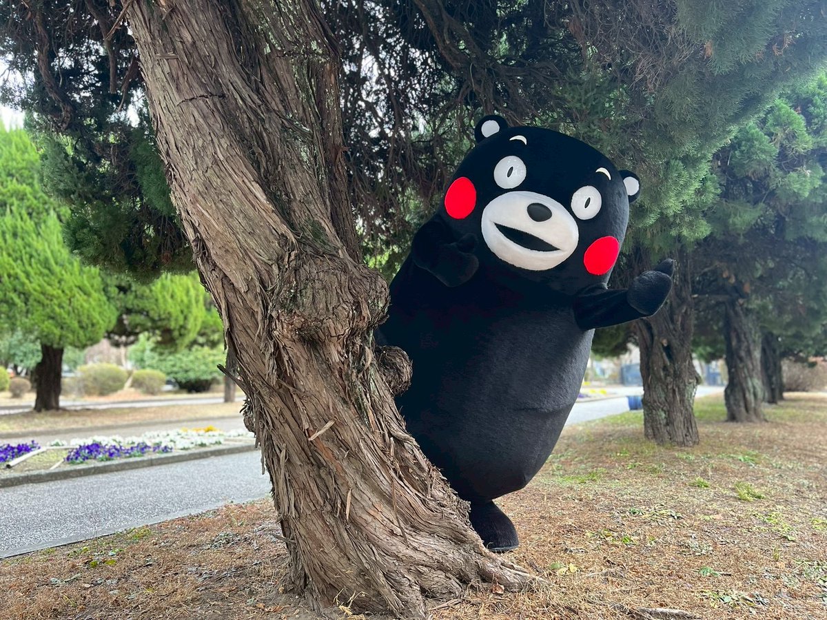 くまモン【公式】 (@55_kumamon) / Posts / X