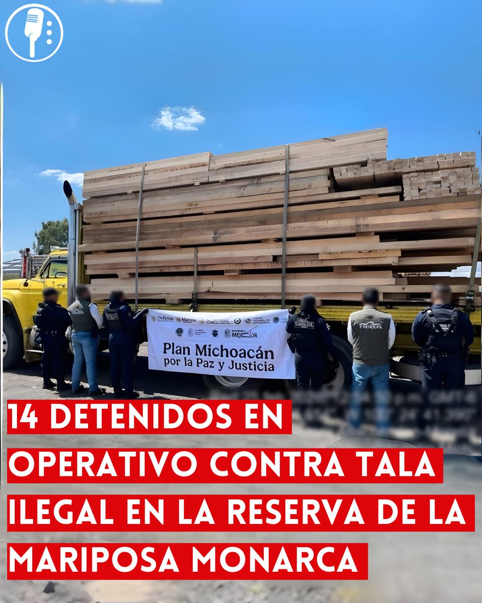 ⭕ OJO | 14 DETENIDOS EN OPERATIVO CONTRA TALA ILEGAL EN LA RESERVA DE LA MARIPOSA MONARCA 

Operativo contra la tala ilegal en la Reserva de la Mariposa Monarca: 14 detenidos y 539 m³ de madera asegurados. Las autoridades refuerzan la lucha por la protección del medio ambiente.