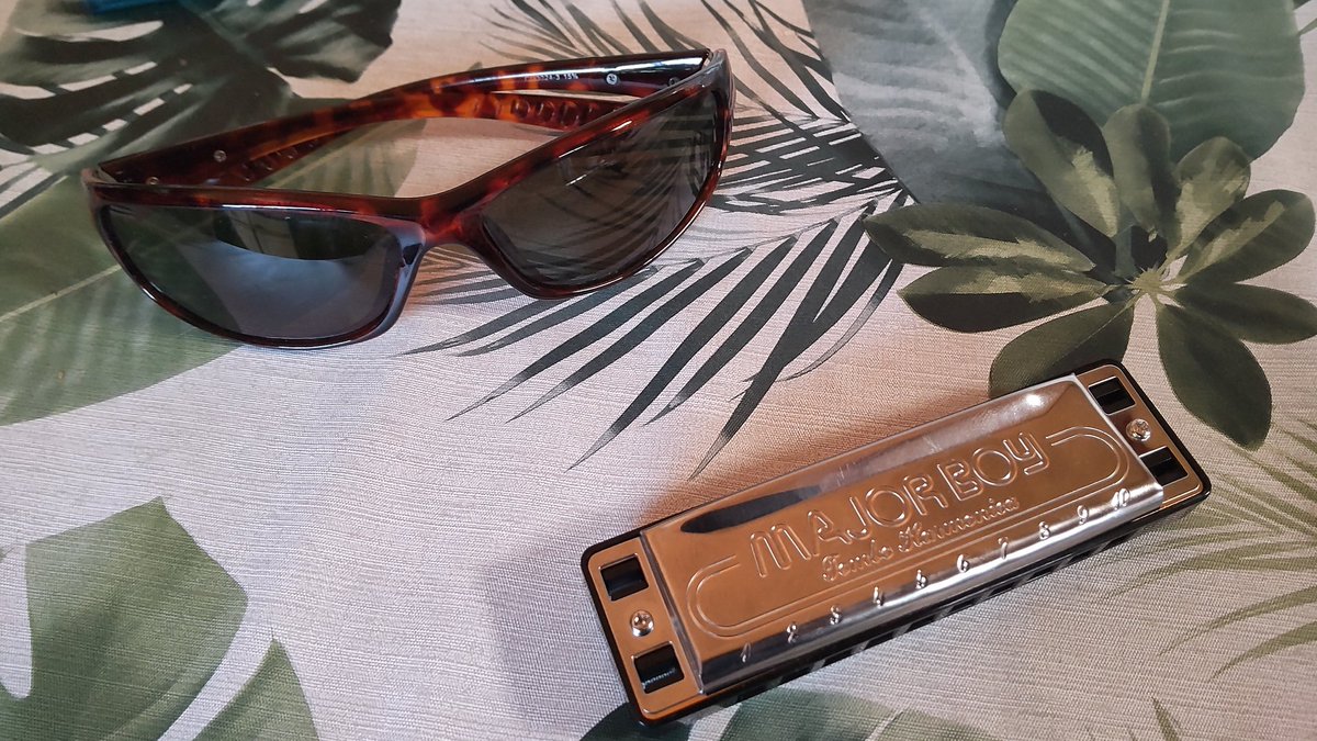 メジャーボーイの、Eのキーのハーモニカを買った。 長渕剛のろくな