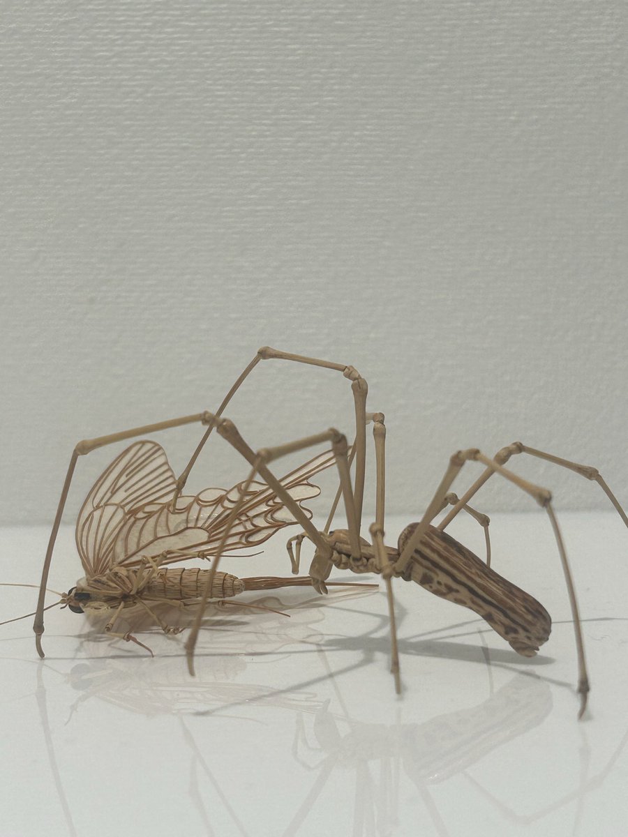 insects_6464's tweet photo. 竹工芸・齋藤徳幸さんの個展は本日最終日です🦗 https://t.co/qFojv7YsPS