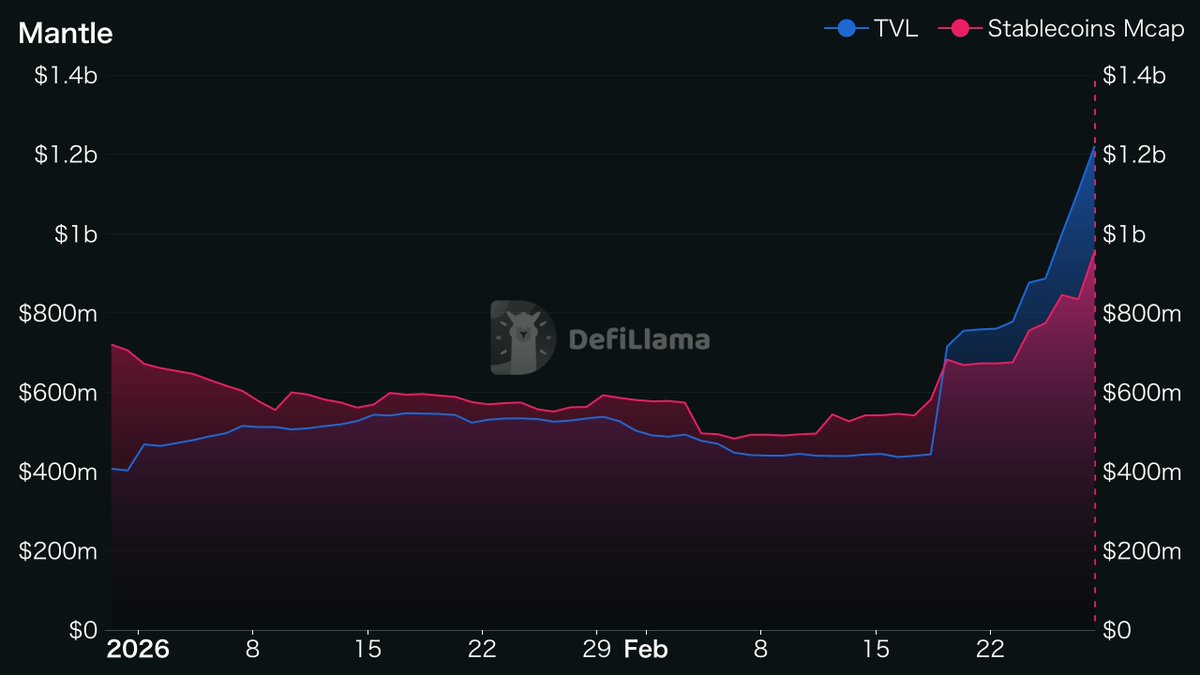 Saucy Block tweet media