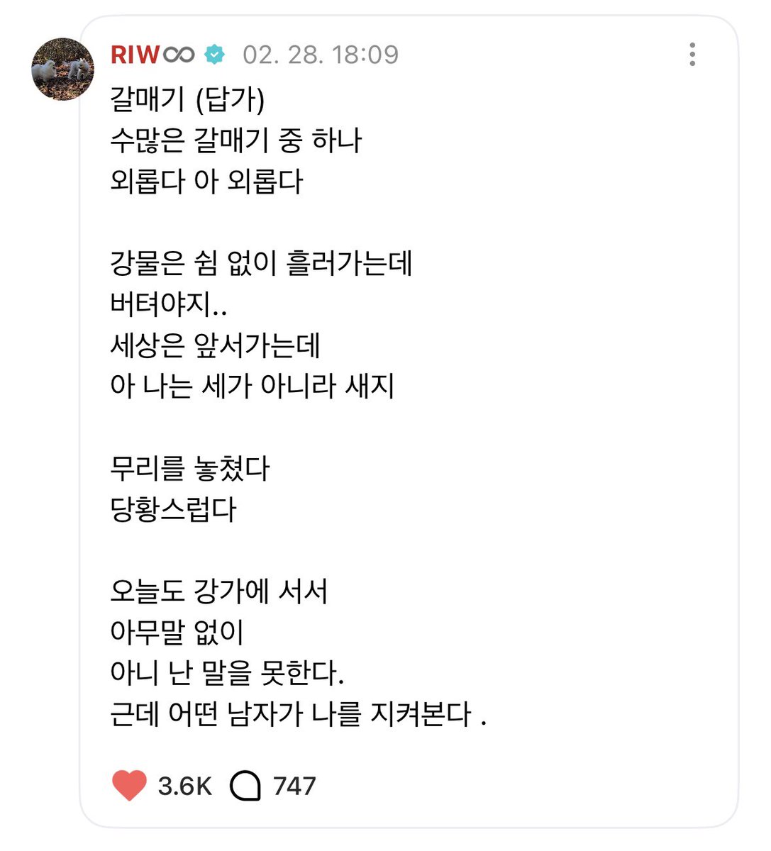 내 남자들 시쓰고 답가쓴다.