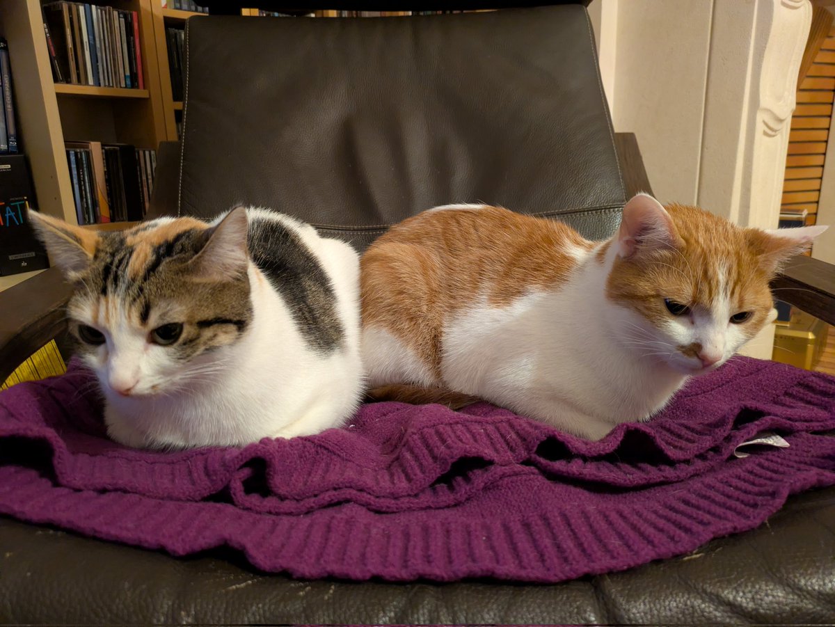 Ahsoka et Kanan tweet media