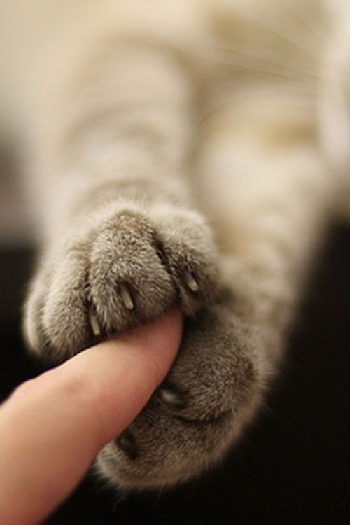 Konstanze 🗽🇩🇪 tweet media