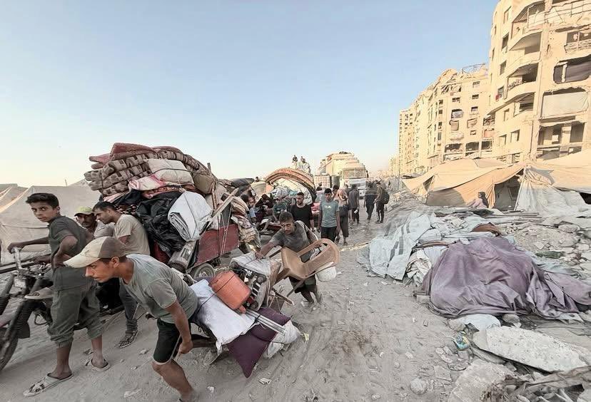 readers for freedom tweet media