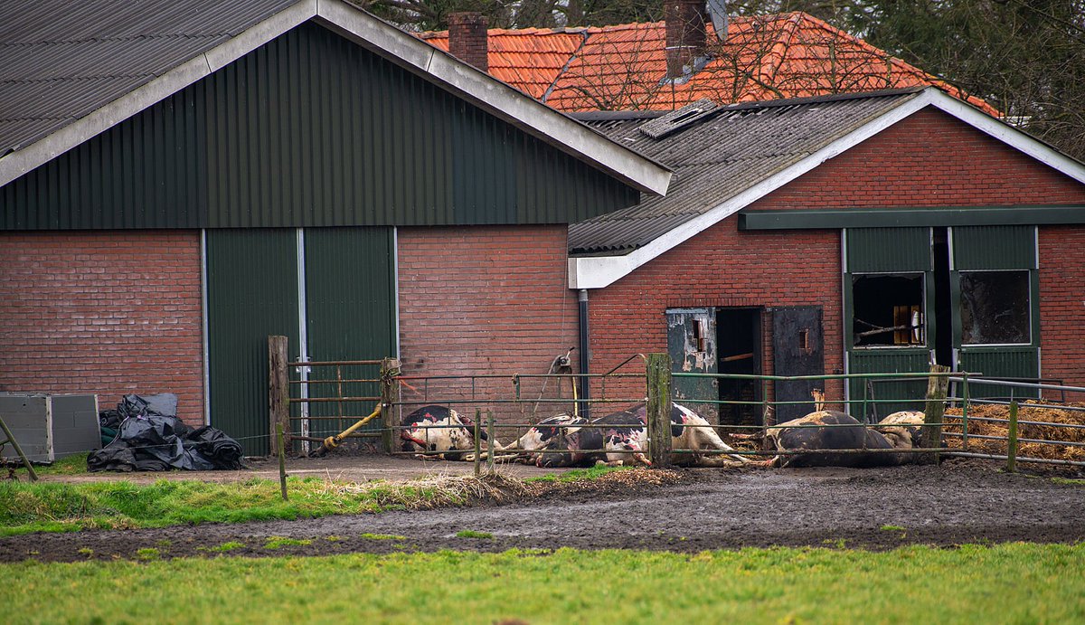 Karen Soeters tweet media