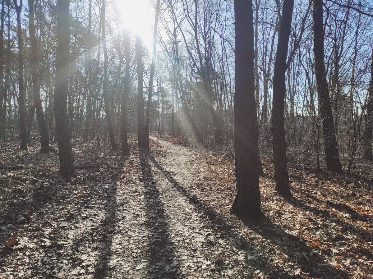 Ben Sixsmith tweet media