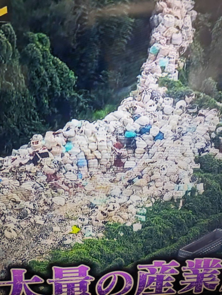 これは茨城県の山間部に違法放棄された産業廃棄物です。茨城県は４億円をかけて撤去されましたが、茨城県で不法就労の外国人は3年連続で全国最多となり県は違法外国人を摘発に至ったのです。犯人はあの民族です。あの民族は埼玉県以外にも事務所を持っています。
