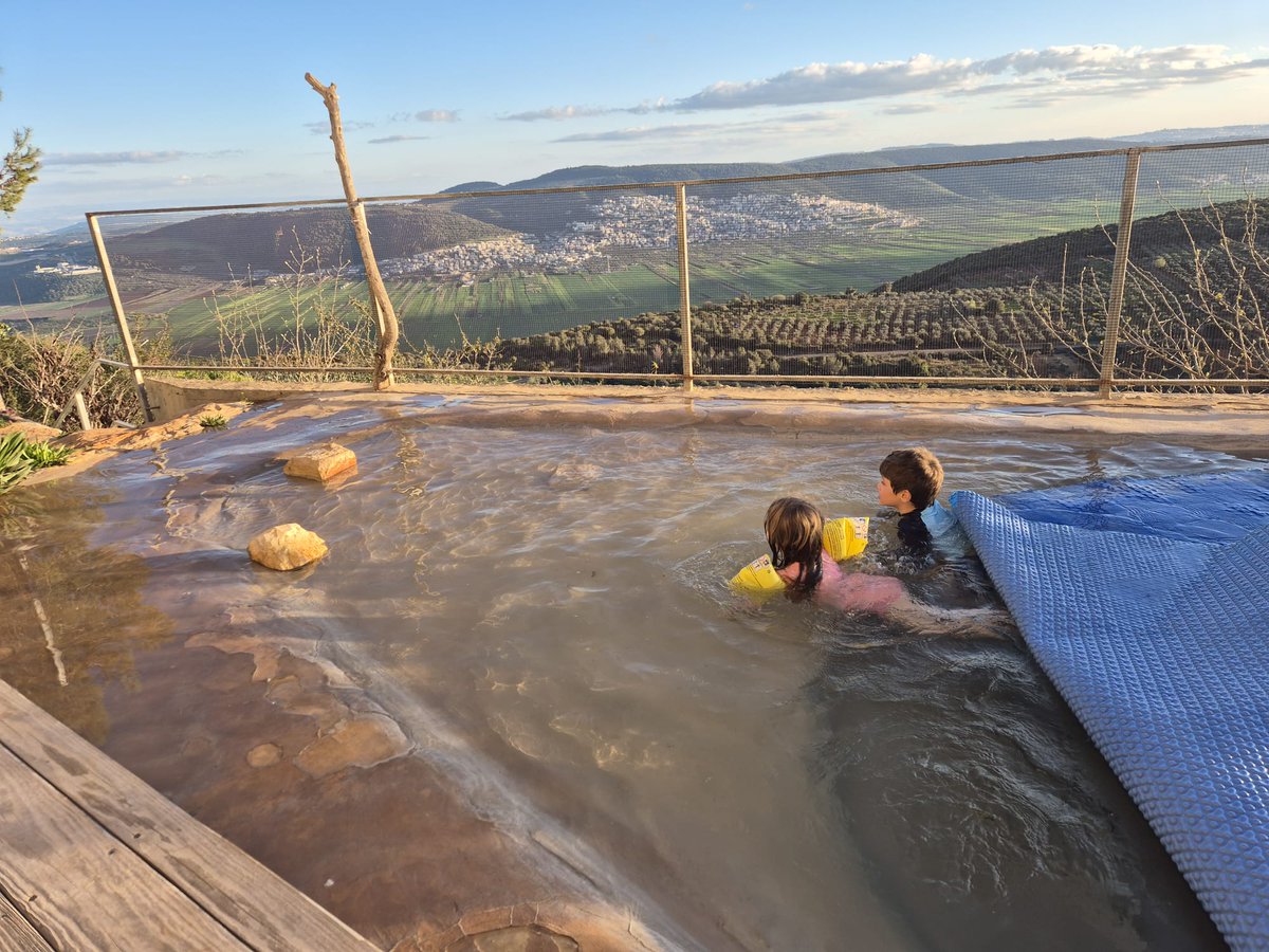 Omri Velvart tweet media