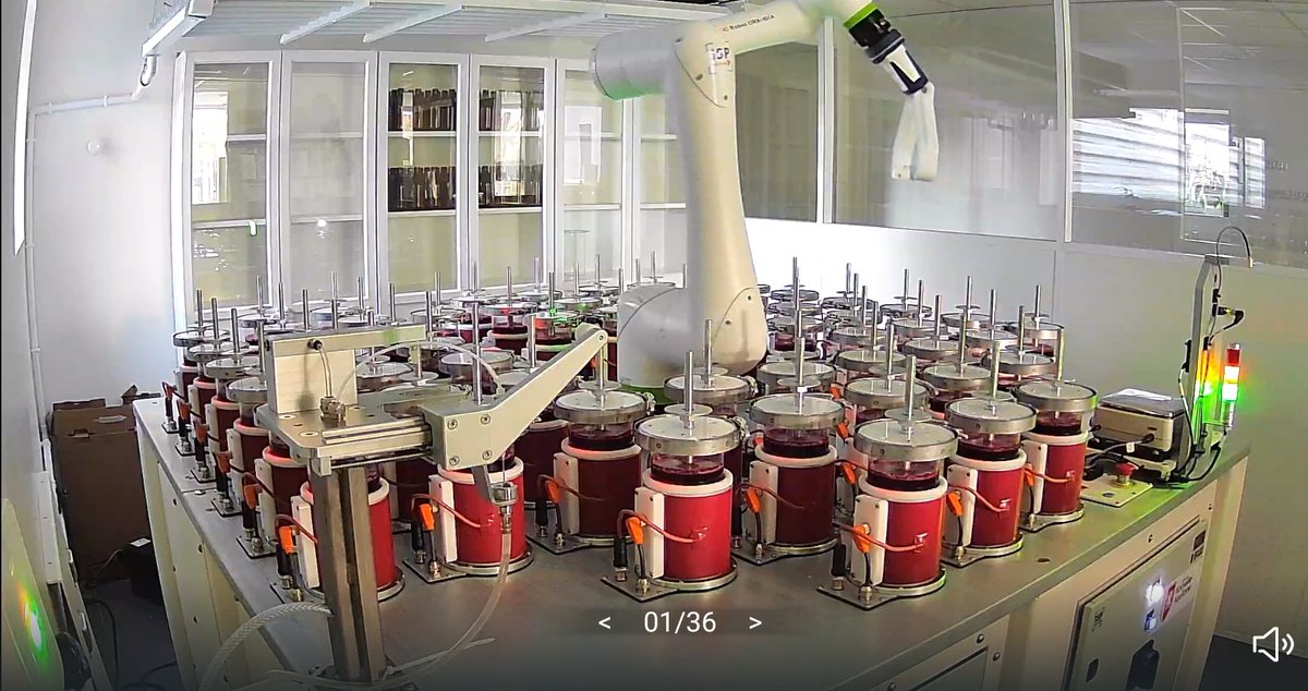 fabrice m tweet media