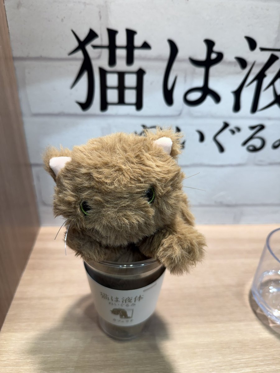 #CPプラス2026 
#猫は液体ぬい