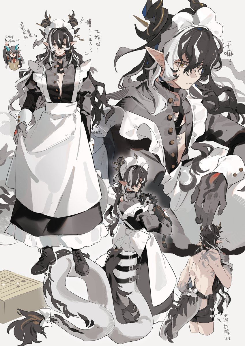 Leopardtiger|豹豹 tweet media