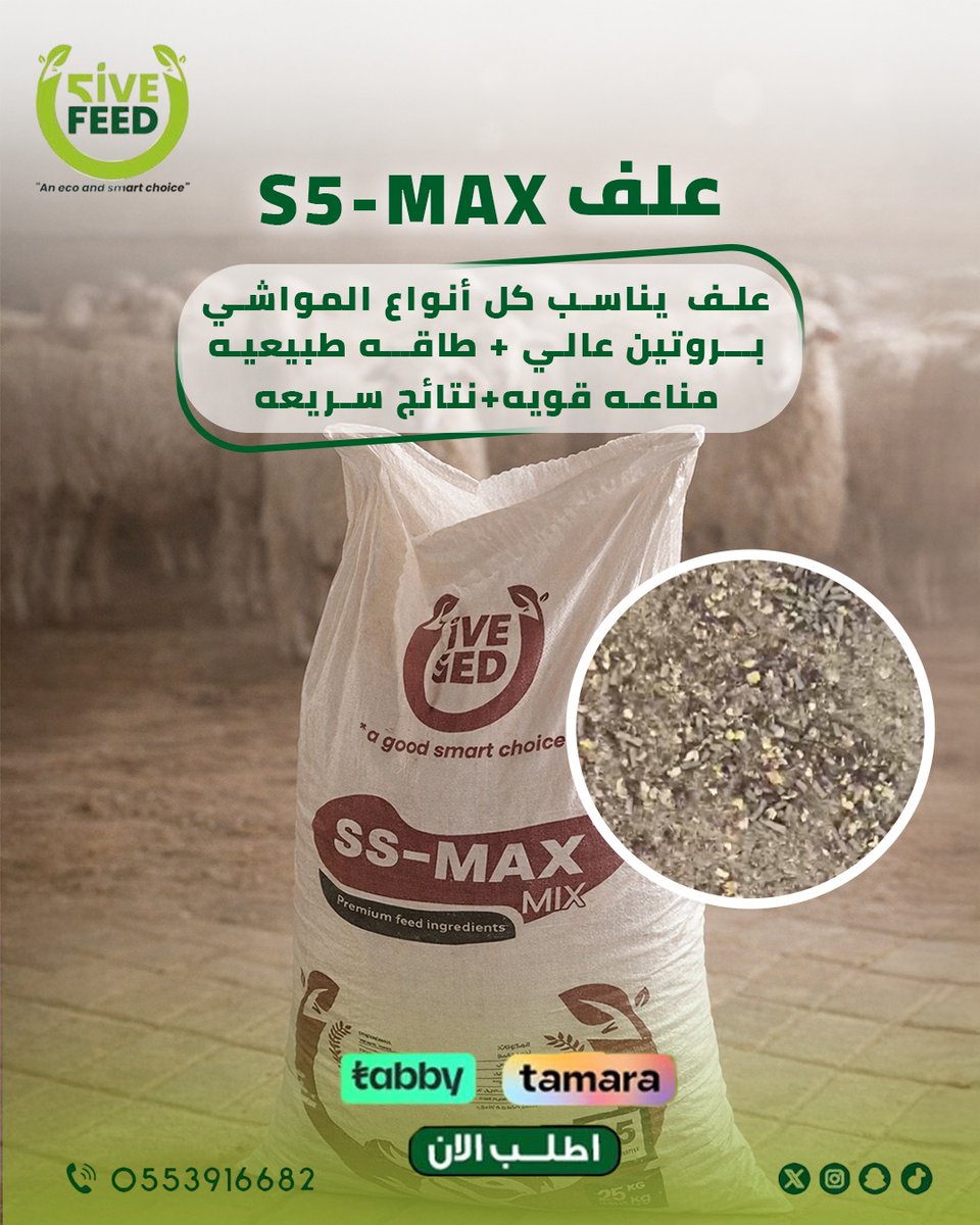 ✨️✨️✨️✨️✨️✨️✨️✨️

علف S5-MAX 
بمواصفات ممتازه 
٢٥ كيلو .... ٣٢ دينار 

شركه فايف فييد لتجاره الاعلاف بخدمتكم 
📲0553916682

#اعلاف_الامارات_فايف_فيد
#اعلاف #اعلاف_الامارات #أعلاف_الإمارات #اعلاف_الامارات_ابوظبي