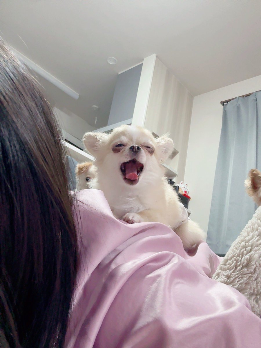 みかりん🐰クラブイーグル千歳店 tweet media