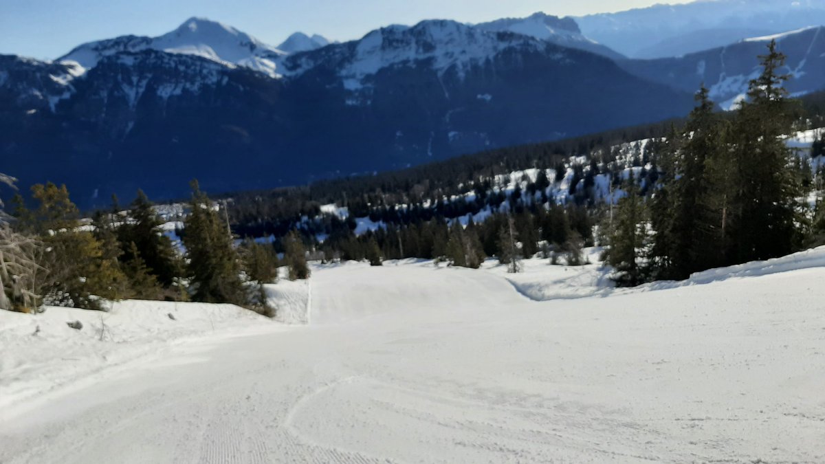 Andre Montaud tweet media