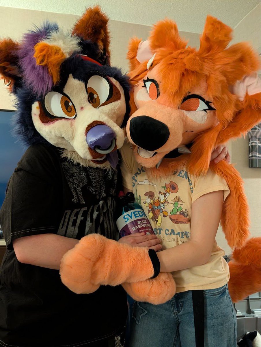 Obi ! 🔜 furcamp tweet media