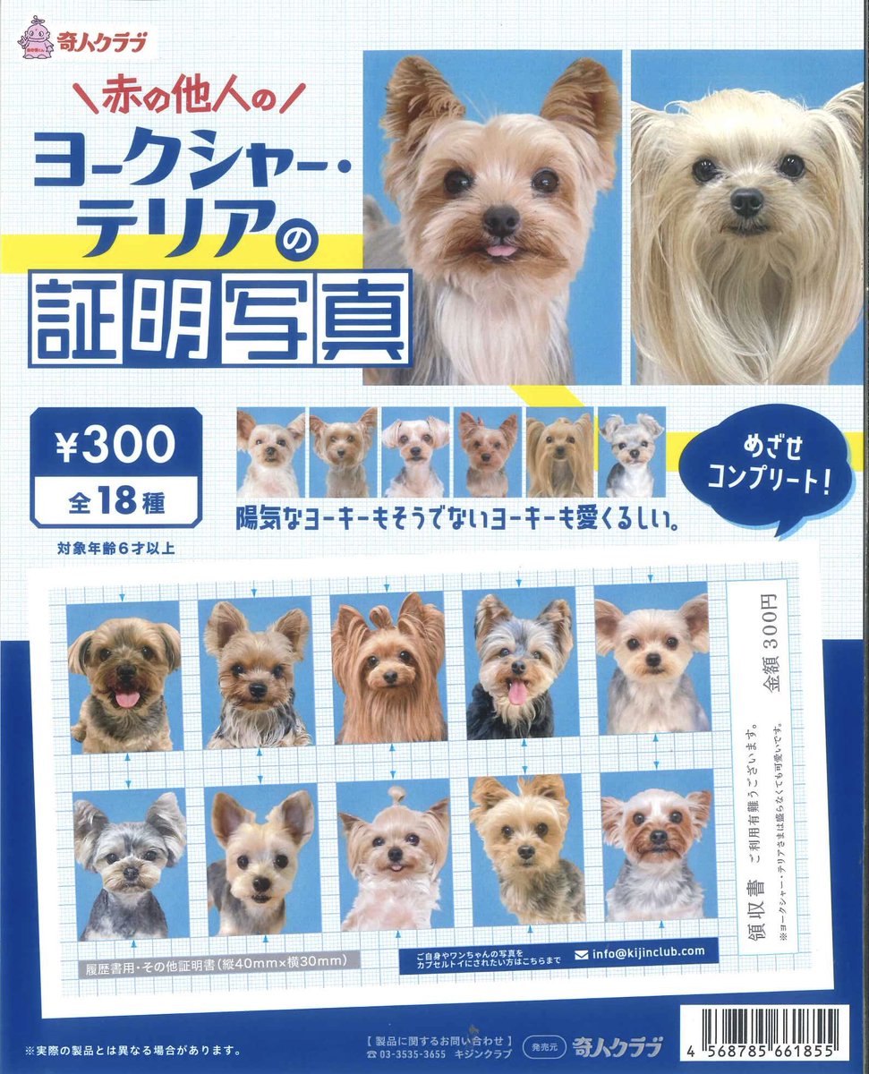 💧完売情報💧 📌 ヨークシャー・テリアの証明写真 上記商品は、大好評