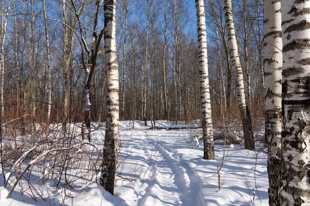 Lena_Firefox's tweet photo. #WinterLandscape #FrostyMorning #NatureLovers #Peaceful https://t.co/j33iw5rGMn