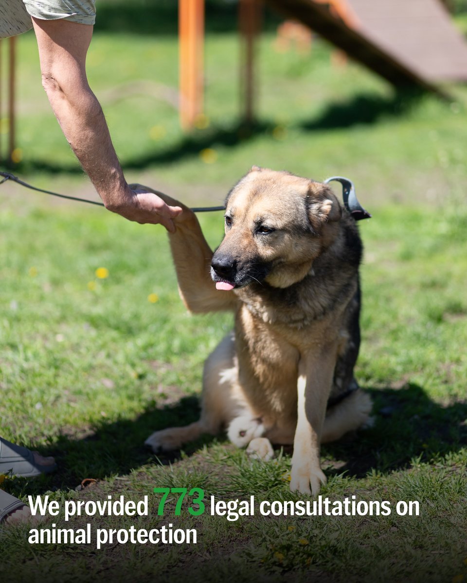 UAnimals.ENG 🇺🇦 tweet media