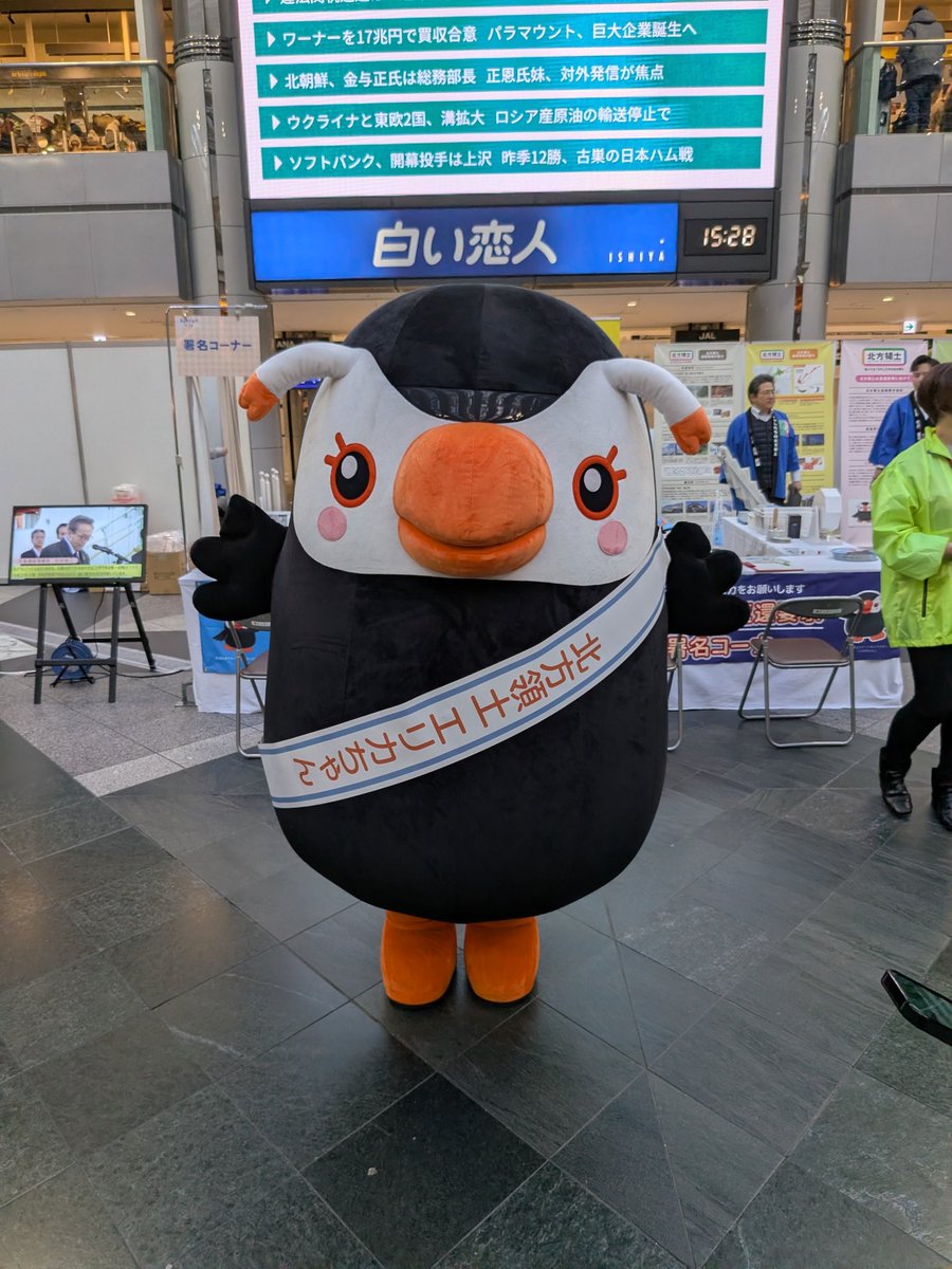 d6ms's tweet photo. 北海道に来たので野鳥の写真を撮っています https://t.co/c4JjpLkCnC