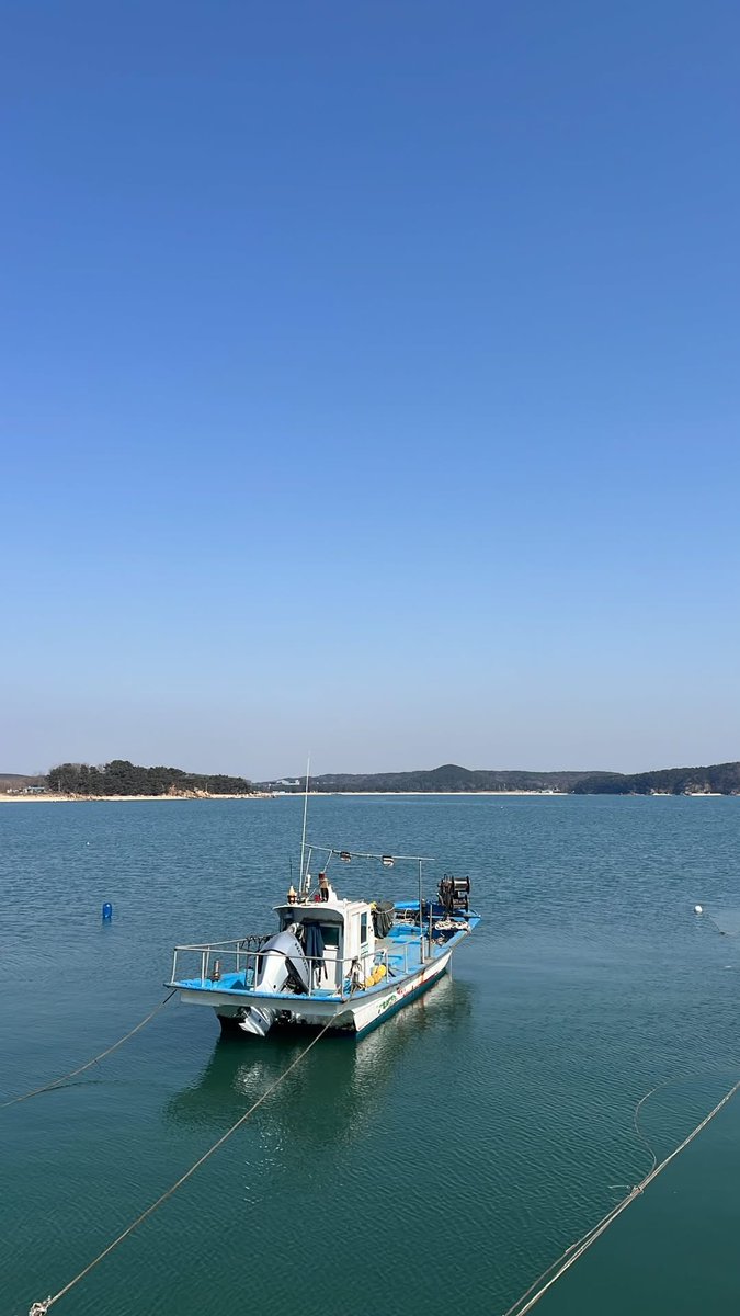 okTeun's tweet photo. 이거 약간 나피디예능 끌려가는 구도같다
(그냥 그렇다고요 기대는 안해요) (듣고있죠 나피디님) https://t.co/RXg5C2RdLA