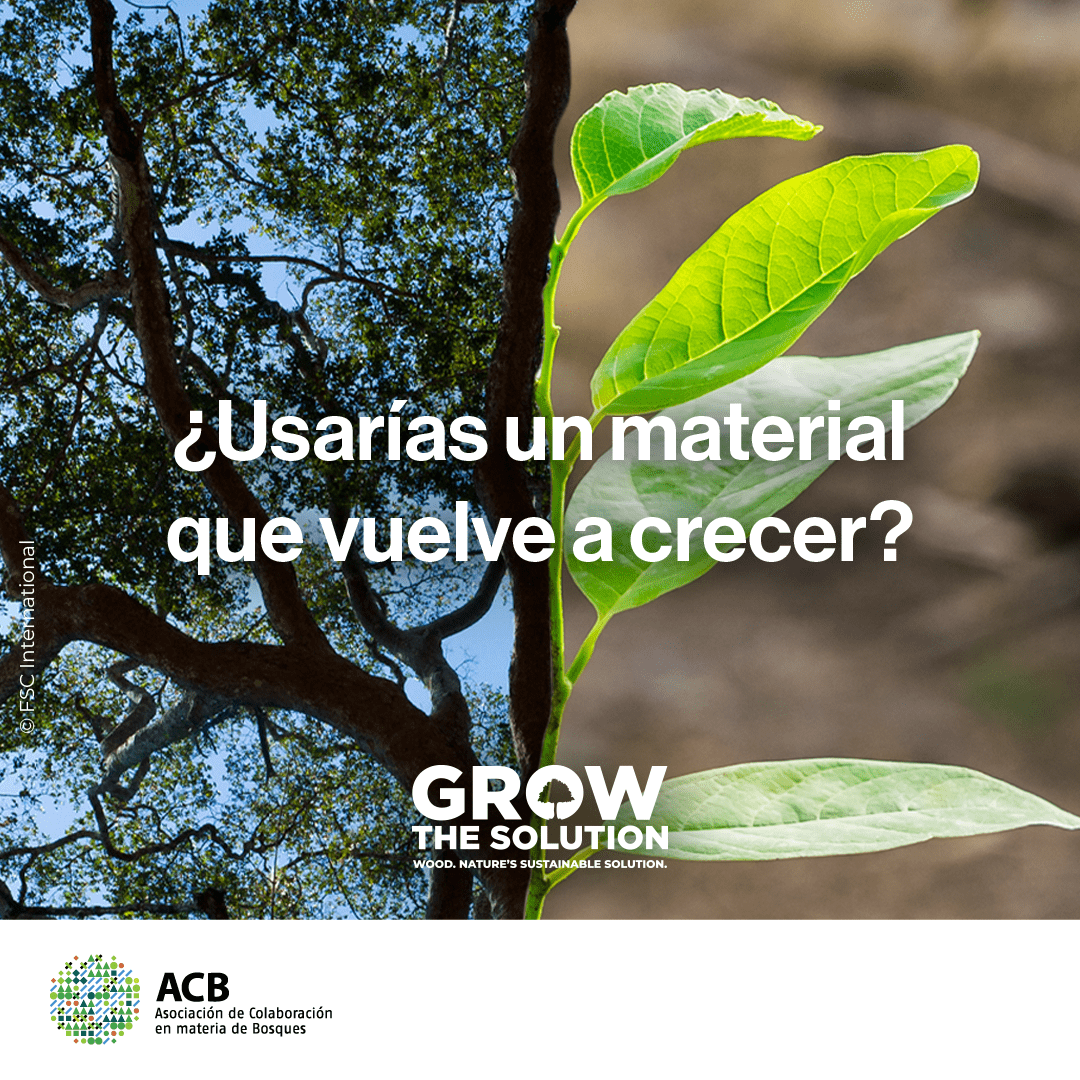 FSC España tweet media