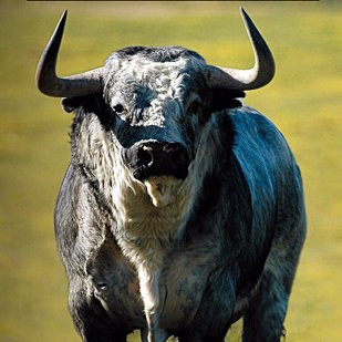 Feliz día a todos los andaluces. Andalucía Tierra de Maria