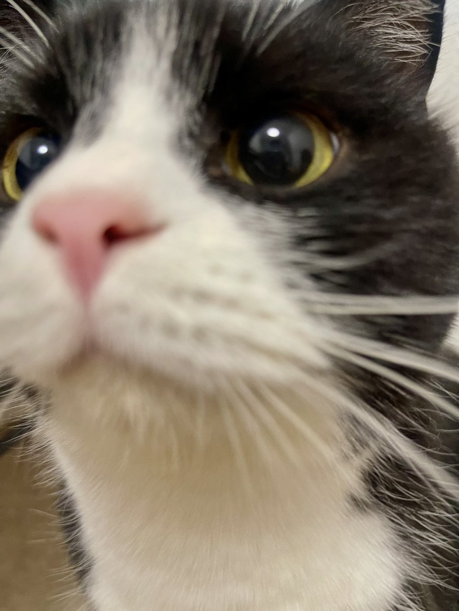 たろう (@taro20216) / Posts / X