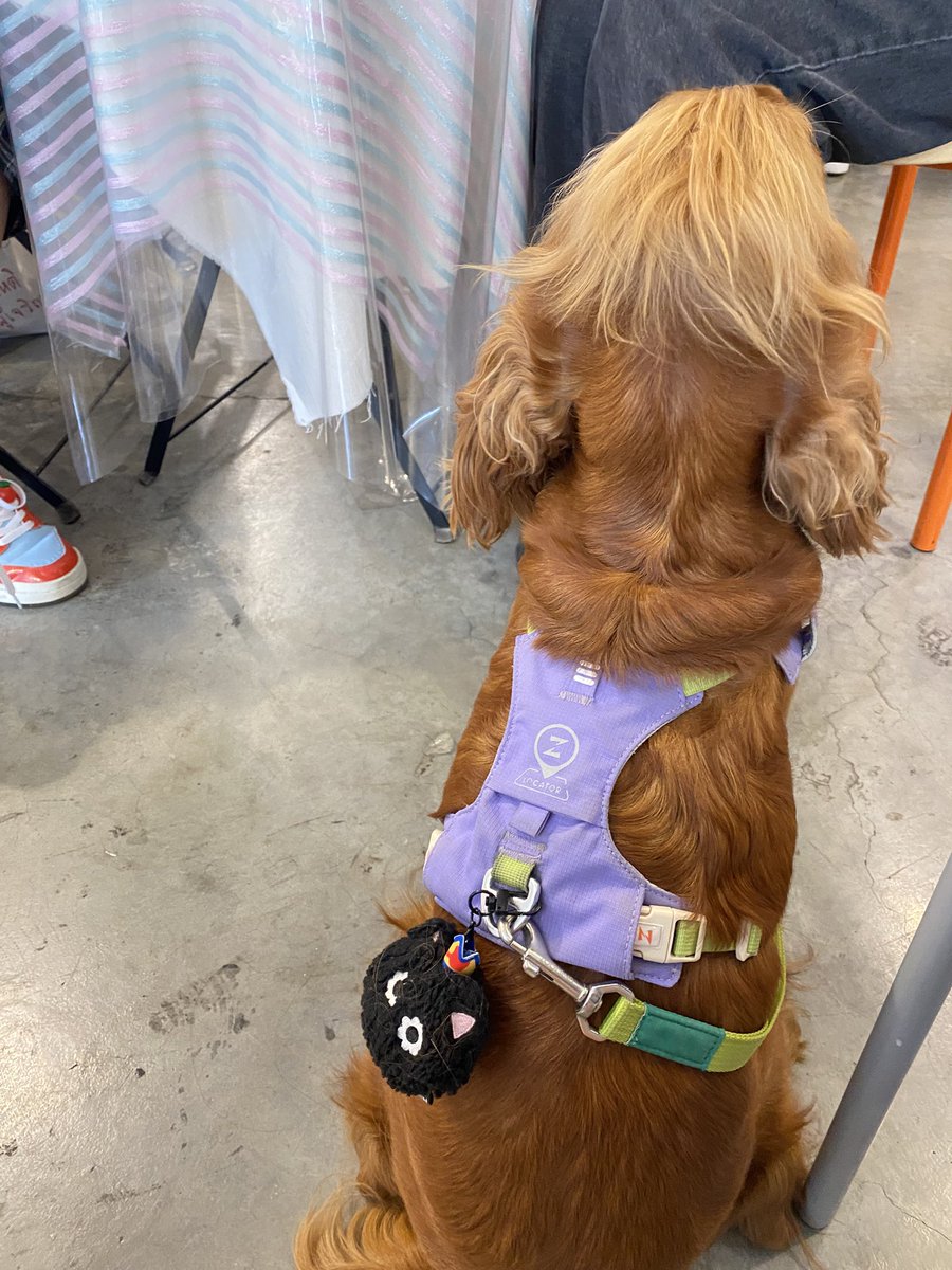 ตุวเองเป้นเมนเตนรึป่าวคะ