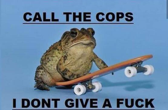 tormius 🐺 tweet media