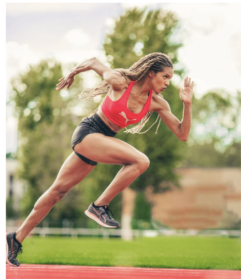 PINESorg tweet media