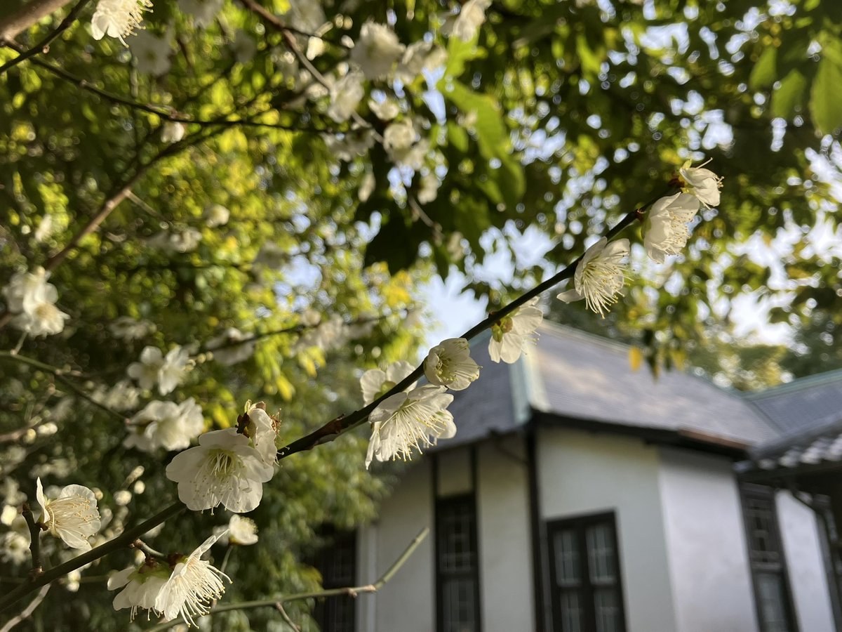 入船山記念館 tweet media