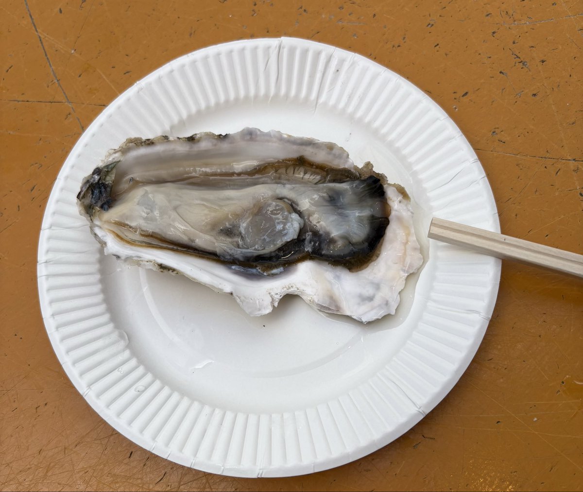 電験三助@三冷法規目標 tweet media