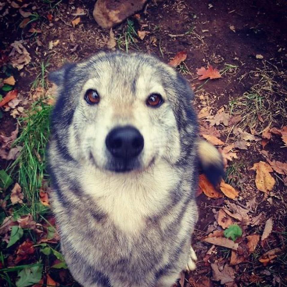 INACTIVE 💌 tweet media