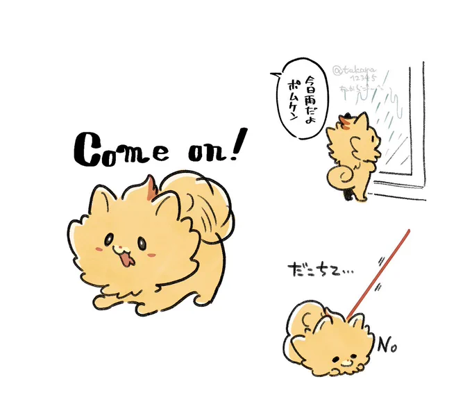ポムケンベリキューぽむけん=^・ω・^= 