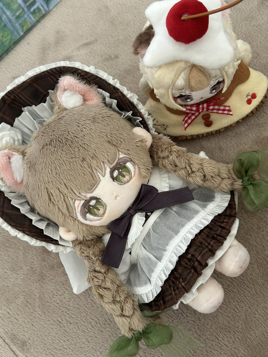 なかよ🐈 tweet media