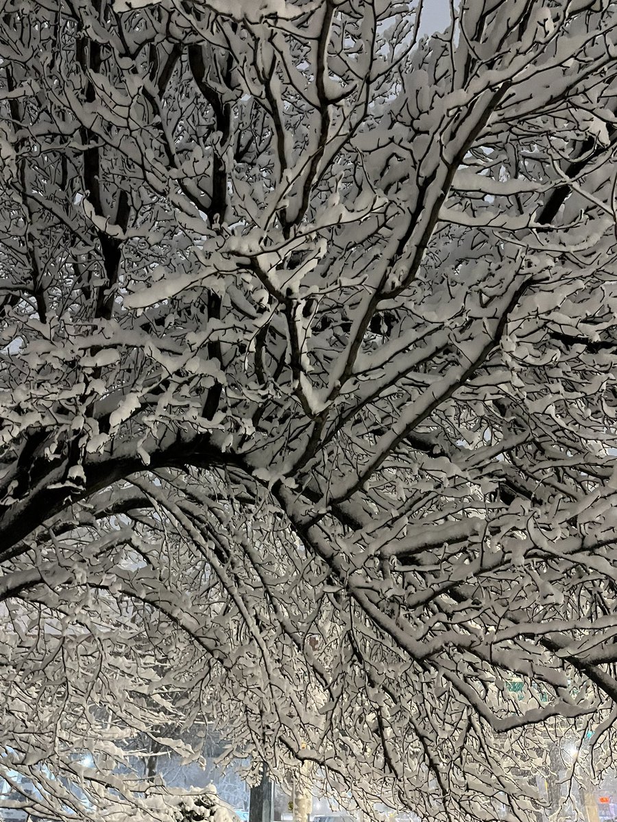 nervewing's tweet photo. Took 3-HO-PCP and went out into a blizzard the other night to experience the wrath of our climate. I actually really don’t recommend doing this. Do not do this. https://t.co/G6GowwT947