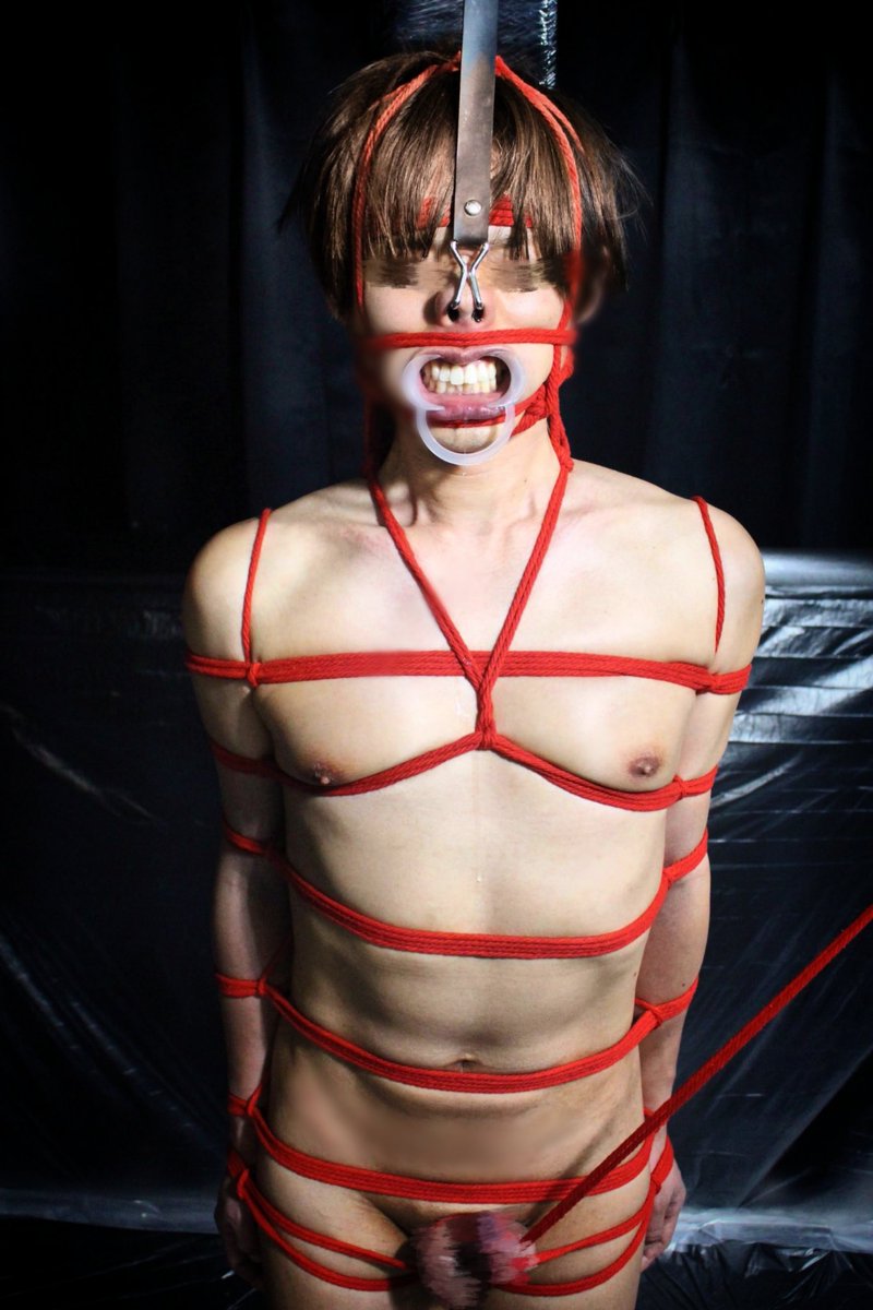 えぃ💛 tweet media