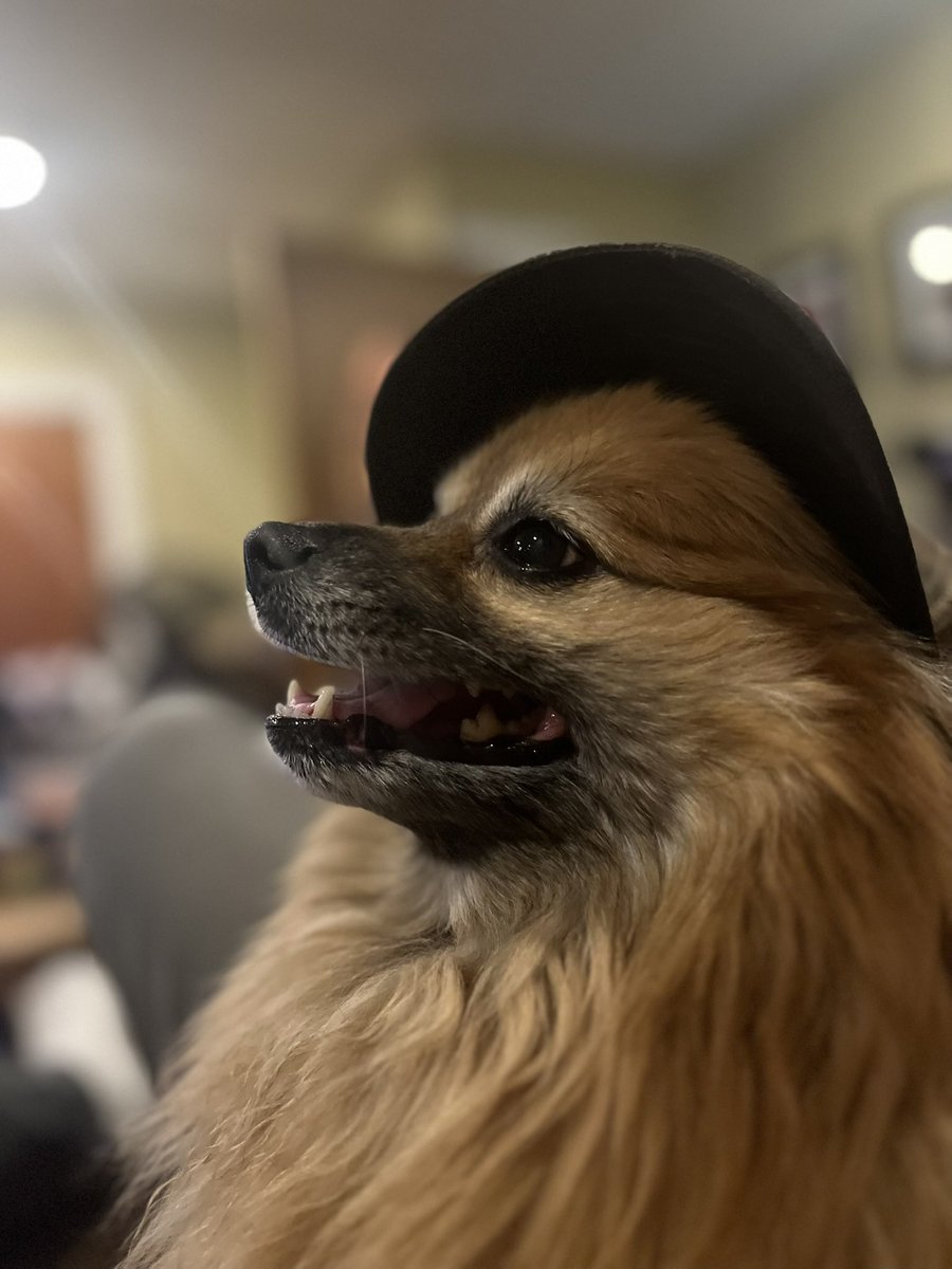 orksnork tweet media