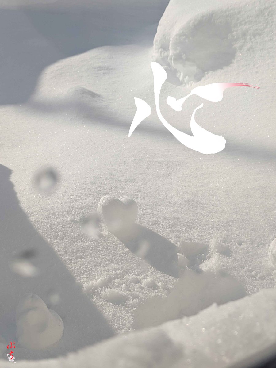 ぷち(puchi)♬*°H.S.H🍀 tweet media