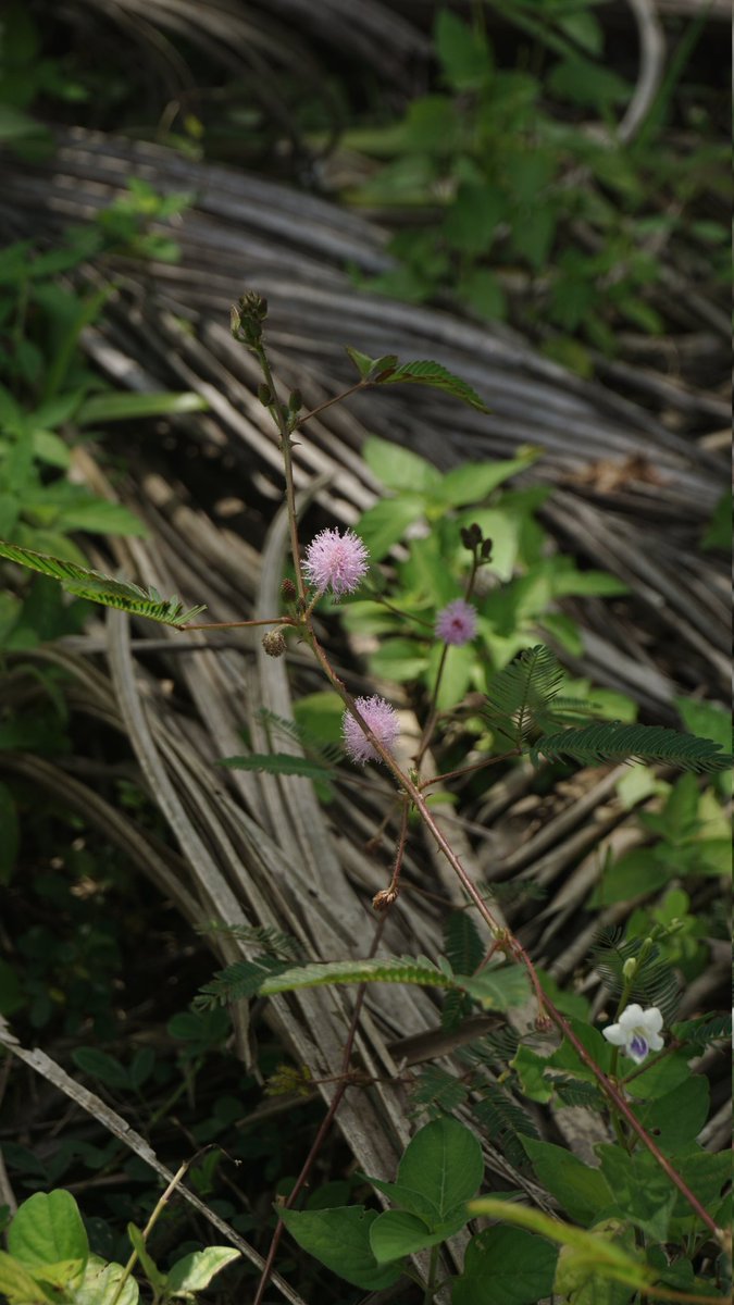 Gua menemukan hobby baru.